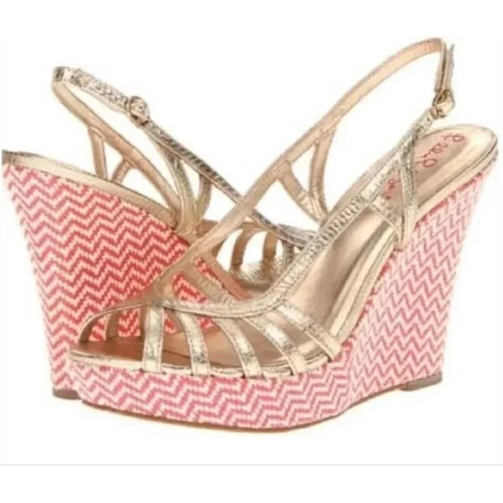 New‎ Lilly Pulitzer Sophie Gold Metallic Leather Raffia Wedge Platform Sandals 6